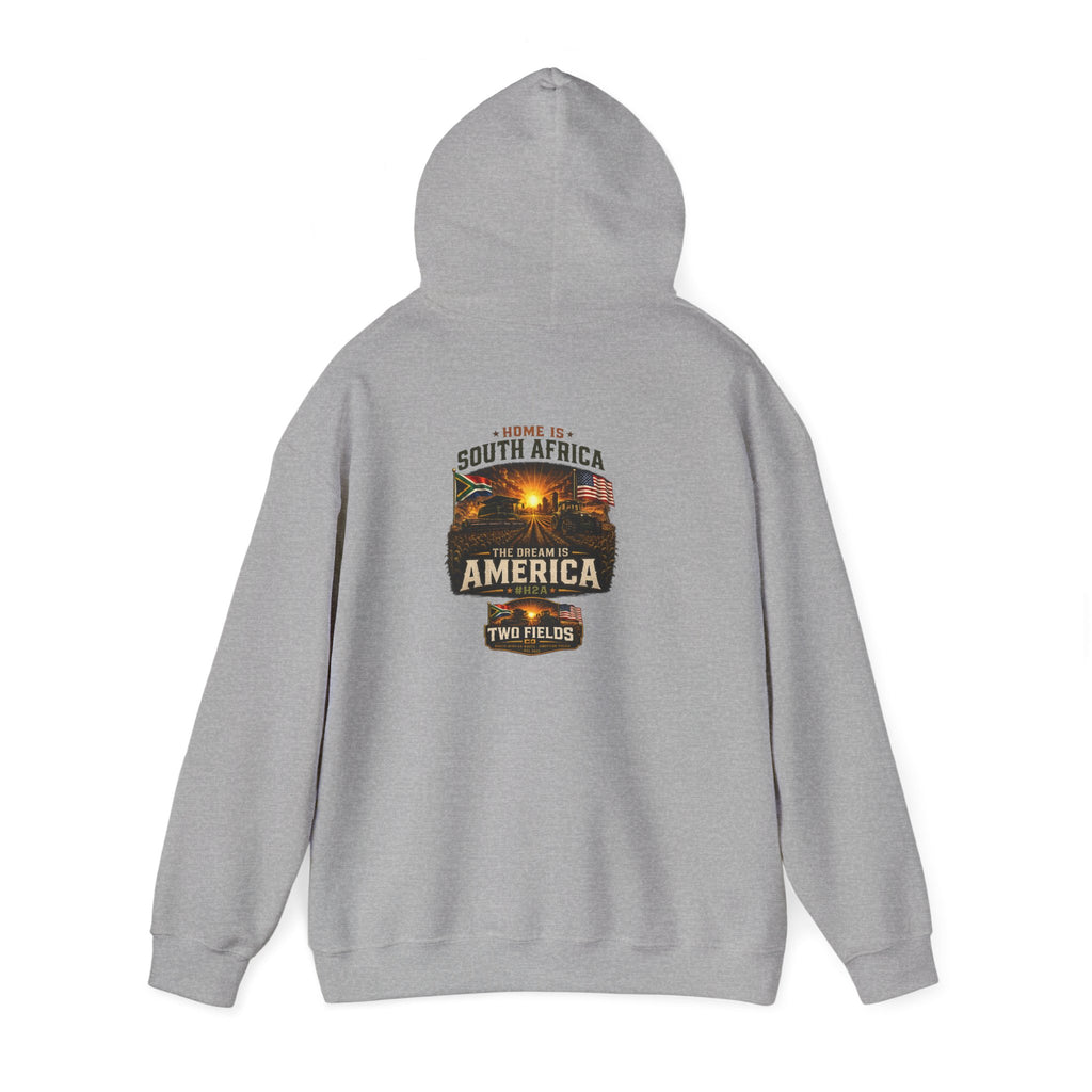 Light gray pullover hoodie shown from the back with large America graphic print