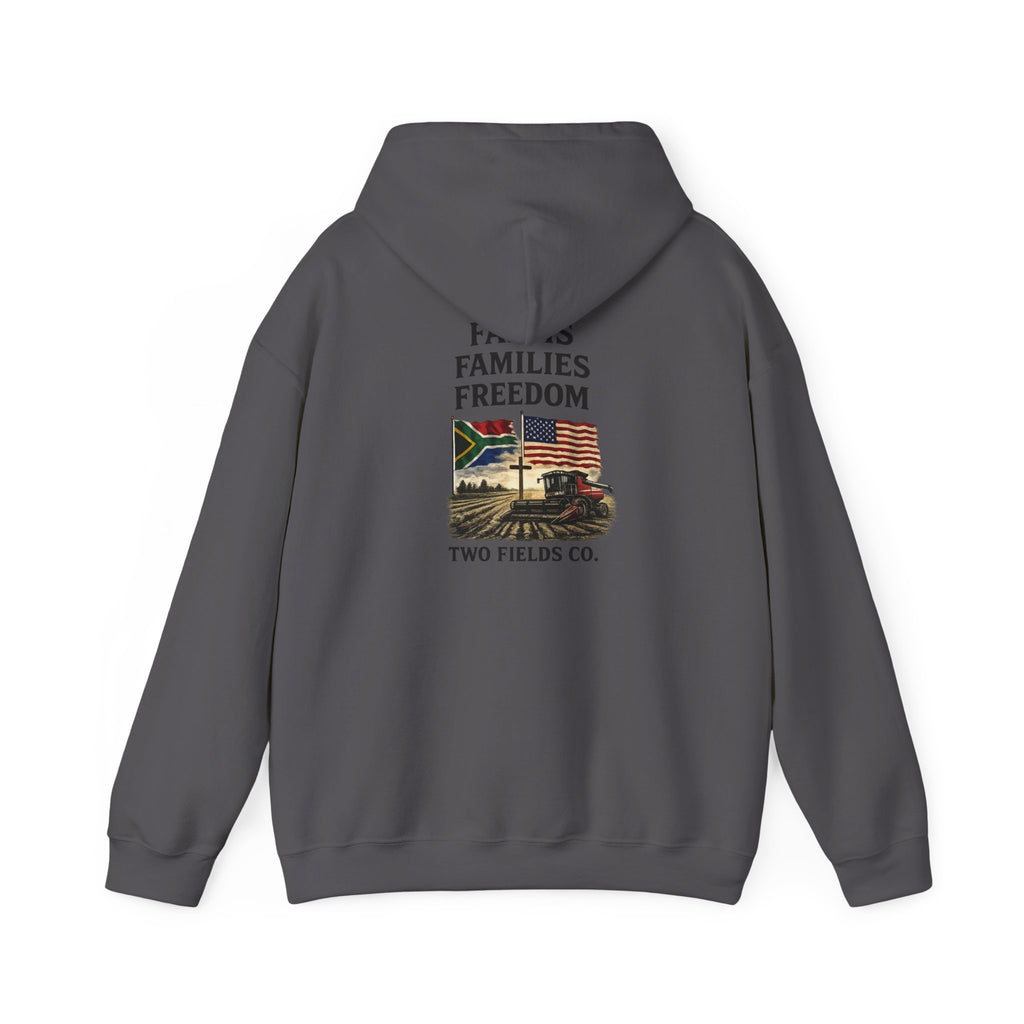 Charcoal Freedom Families hoodie, back view with central graphic text and image